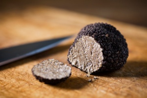 jamur black truffle
